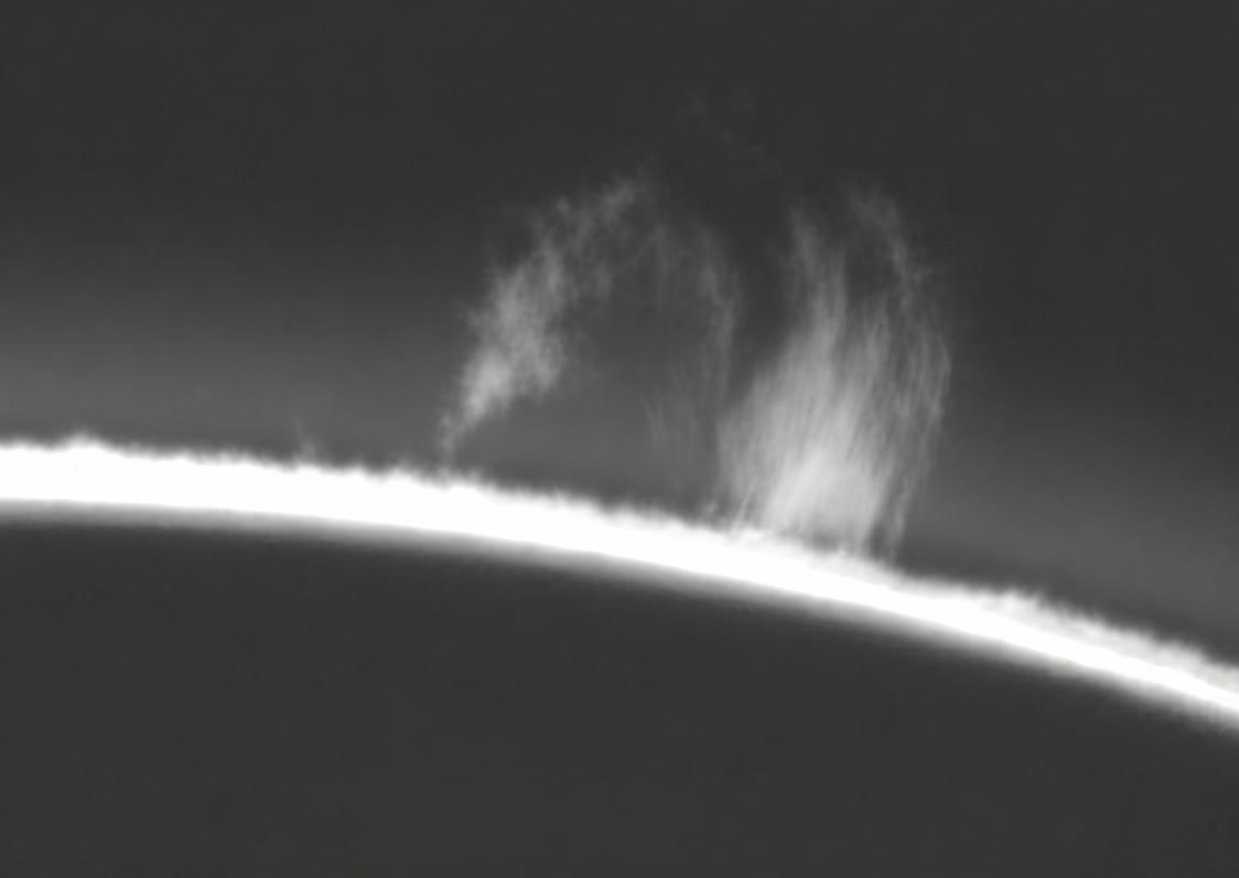 Prominences above the solar limb — institute reference image