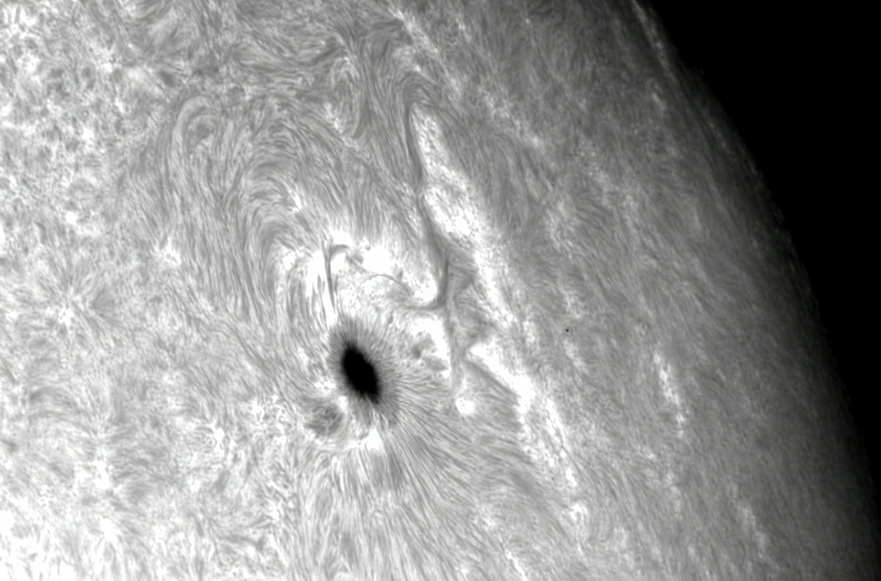 Sunspot and surrounding solar structure — institute reference image