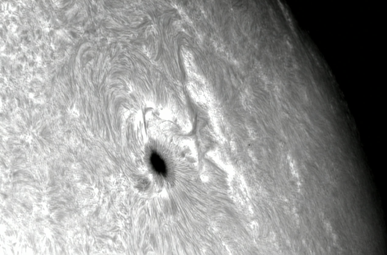 Sunspot and surrounding solar structure — institute reference image