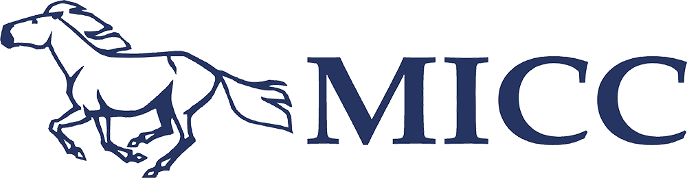 MICC — Mongolian International Capital Corporation