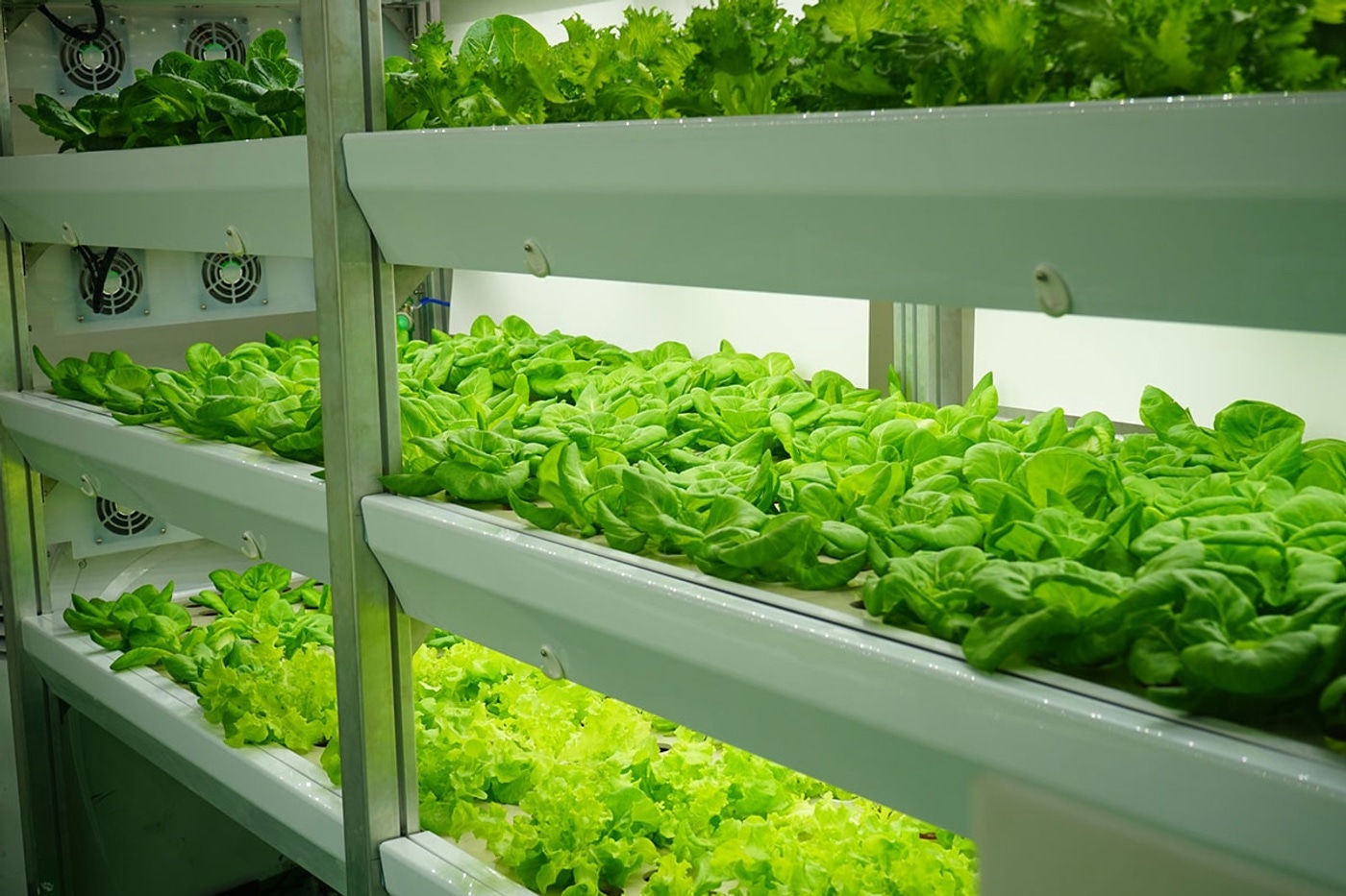 Vertical farming