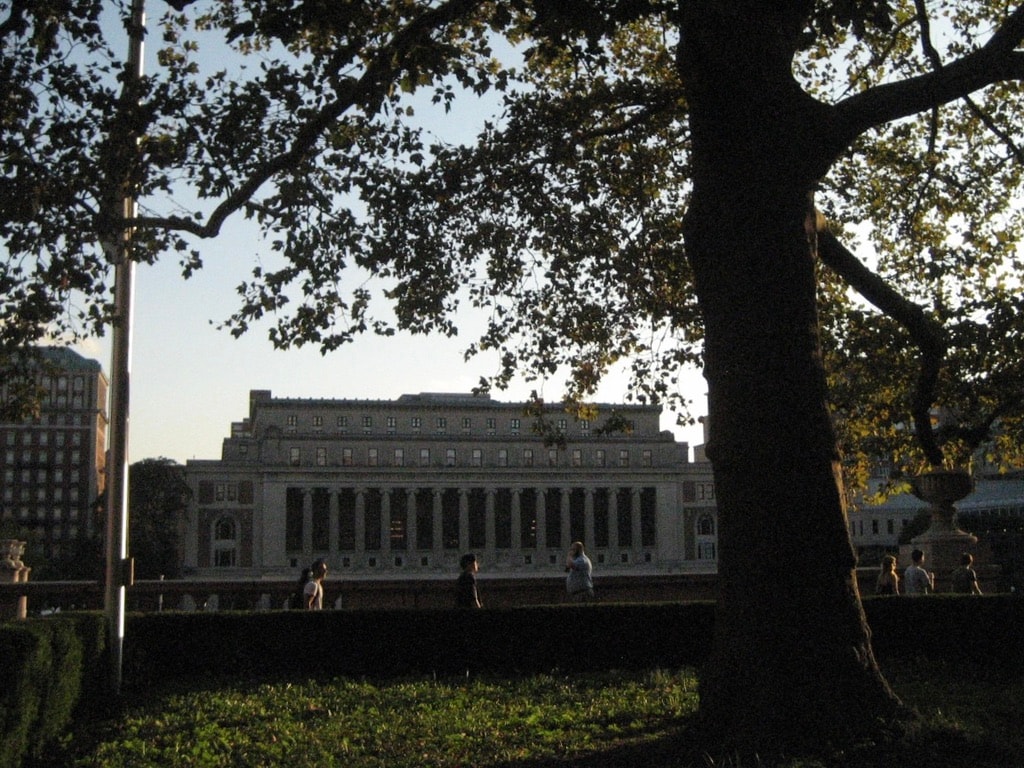 Columbia’s library seen from beneath a tree at dusk