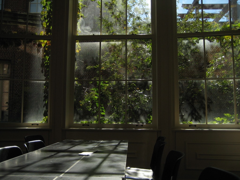 Sunlight crossing a study table beside ivy-covered windows